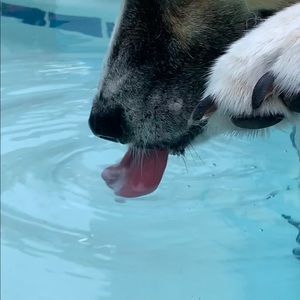 Meet your Posher, Madison